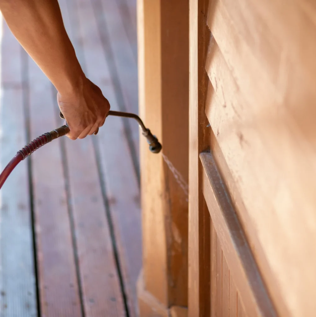 Trusted Pest Control - Bay Shore Pest Control Pros | Bay Shore, NY